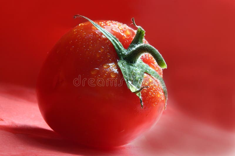 Pomodoro rosso fotografia stock libera da diritti Pomodoro rosso fotografia stock libera da diritti