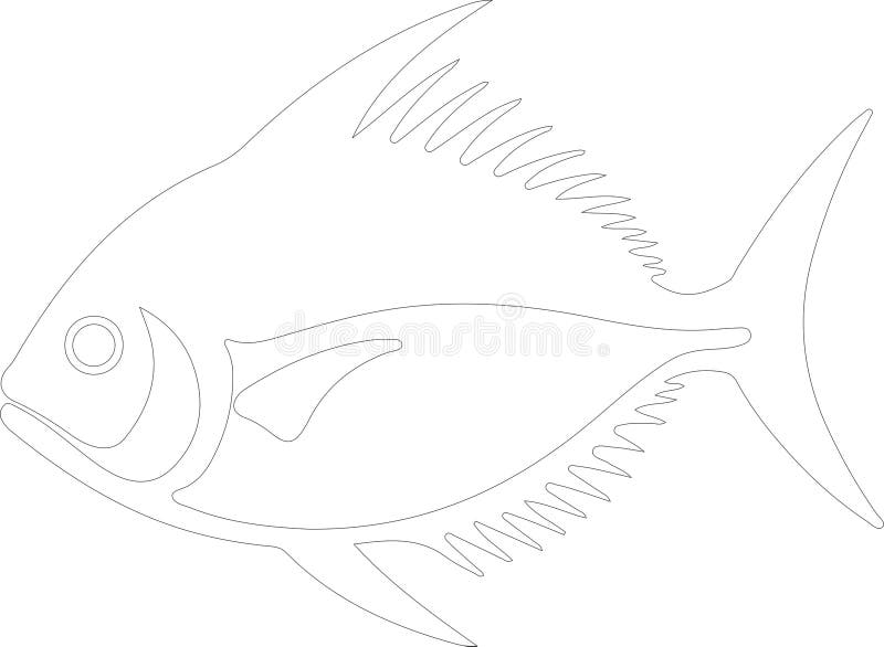 Pompano Outline Silhouette Generative Ai stock illustration