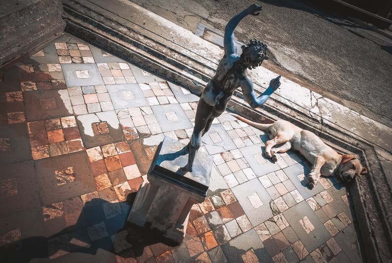 Pompeii ruins, dog sleeps in the impluvium of the house of faun royalty free stock photography Pompeii ruins, dog sleeps in the impluvium of the house of faun royalty free stock photography