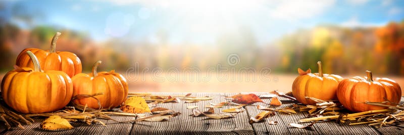 Pompiny I Liście Na Rustycznym, Drewnianym Stole Ze Światłem Słonecznym zdjęcie royalty free