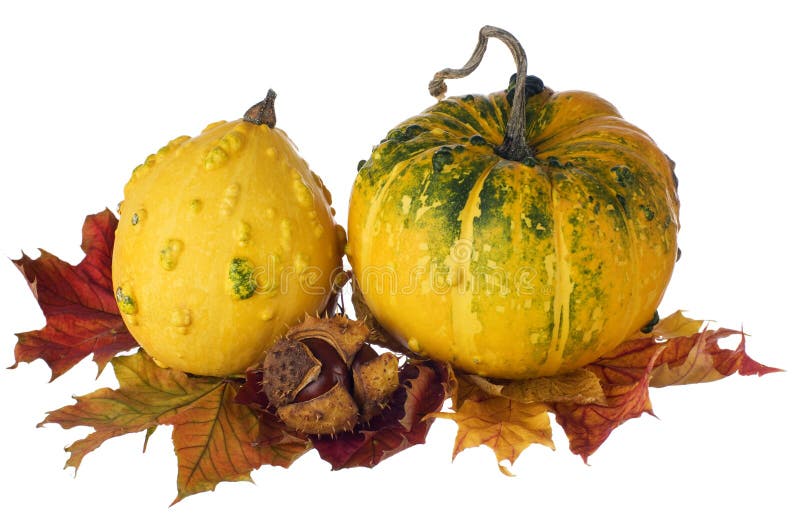 Pompoenen op de herfstbladeren royalty-vrije stock foto Pompoenen op de herfstbladeren royalty-vrije stock foto