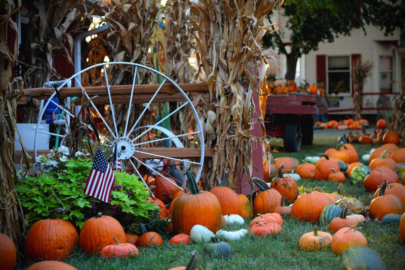 Pompoenen voor verkoop Amerikaanse landbouwbedrijf en schuren bij de herfst in Illinois stock afbeeldingen Pompoenen voor verkoop Amerikaanse landbouwbedrijf en schuren bij de herfst in Illinois stock afbeeldingen