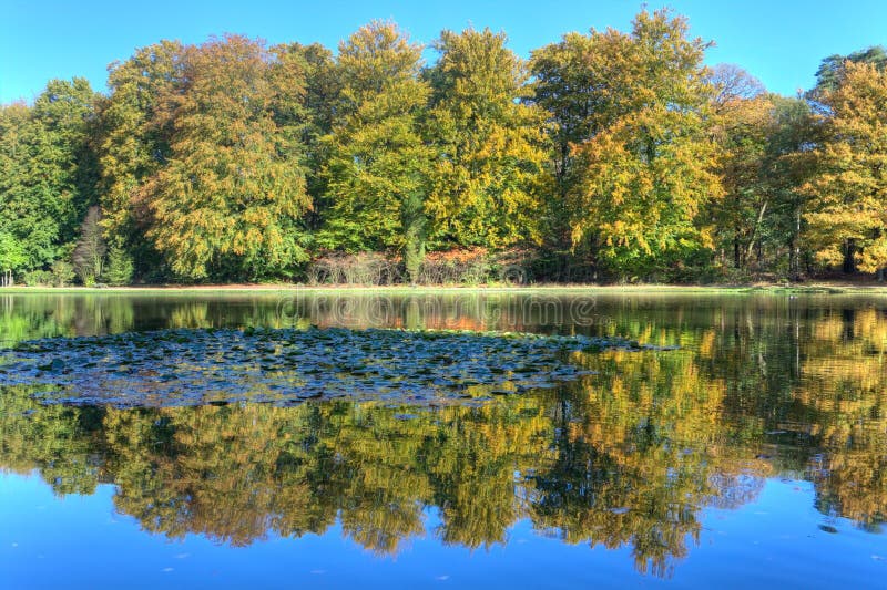 Pond with autumn trees on the Veluwe at St. Hubertus Hunting Lodge