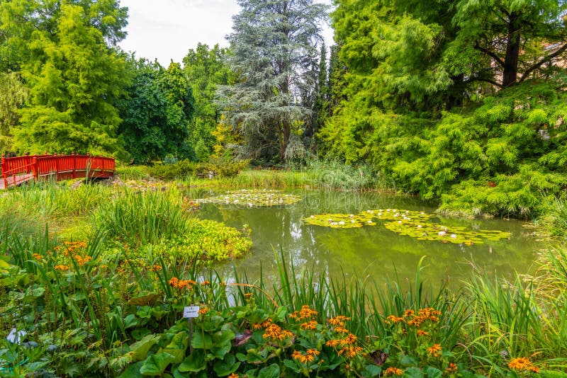 Pond at botanical garden in Zagreb, Croatia royalty free stock photo