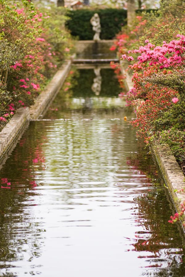 Pond in formal garden stock image