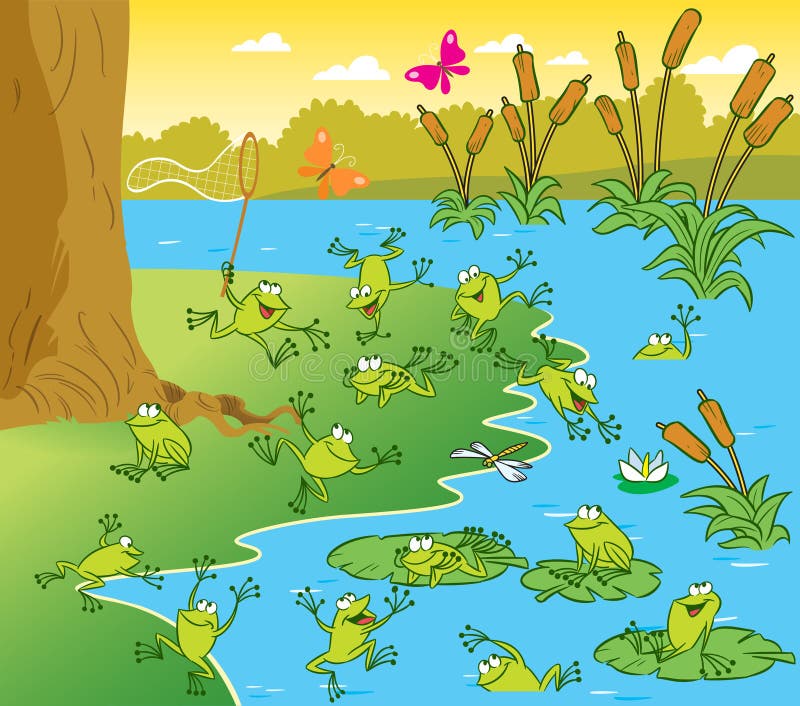 Pond with the frogs