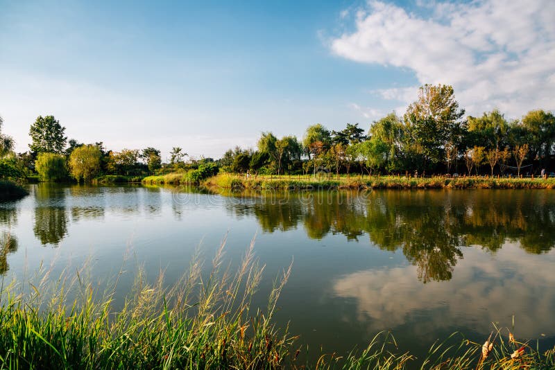 Pond with Green Trees at Baramsae Village Picnic Garden in Pyeongtaek ...