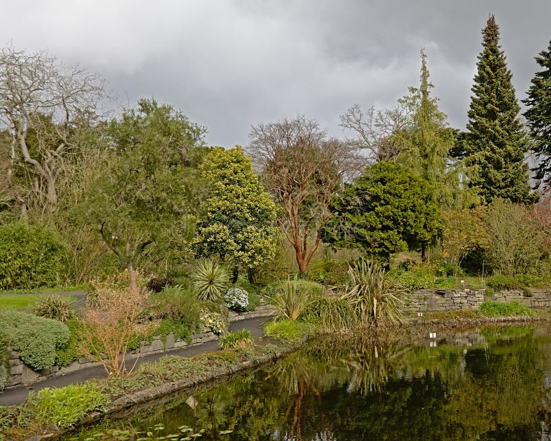 Pond with Many Different Trees in Dublin Botanic Gardens in Spring Stock Photo Image of park