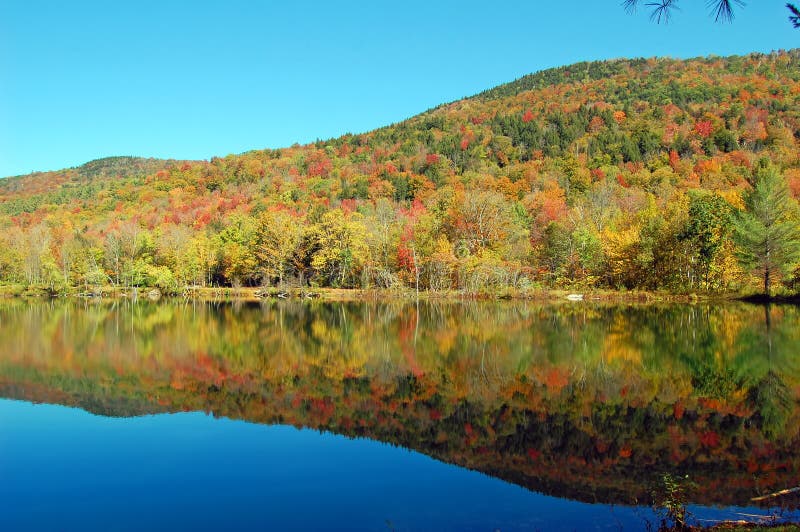 Pond mountain reflections