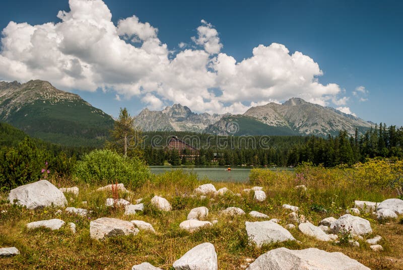 Pond in mountains at summer