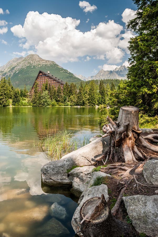 Pond in mountains at summer