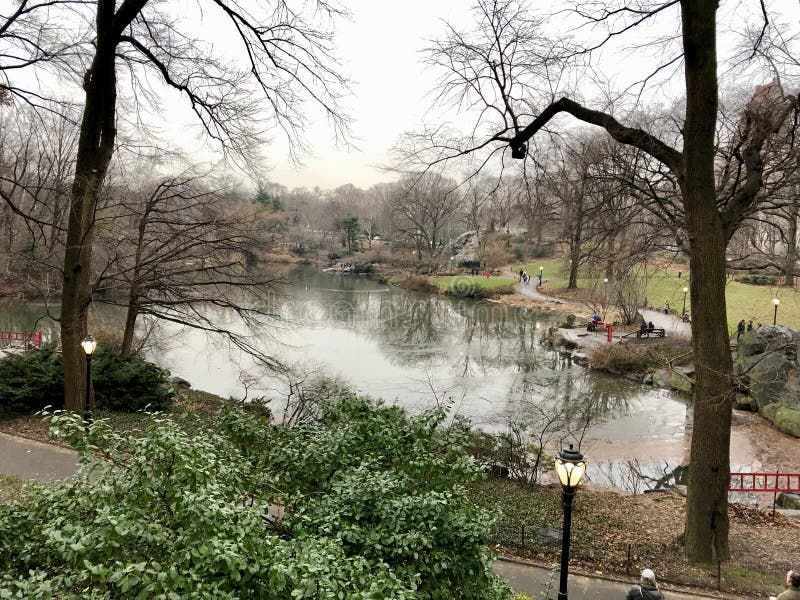 The Pond at New York Central Park in a Rainy Day Stock Image - Image of ...