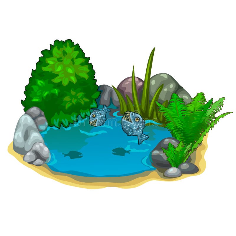 Pond with predatory piranhas and various plants and stones. Cartoon scene, landscape decoration. Vector illustration in cartoon style on white background. Image isolated for your design needs. Pond with predatory piranhas and various plants and stones. Cartoon scene, landscape decoration. Vector illustration in cartoon style on white background. Image isolated for your design needs