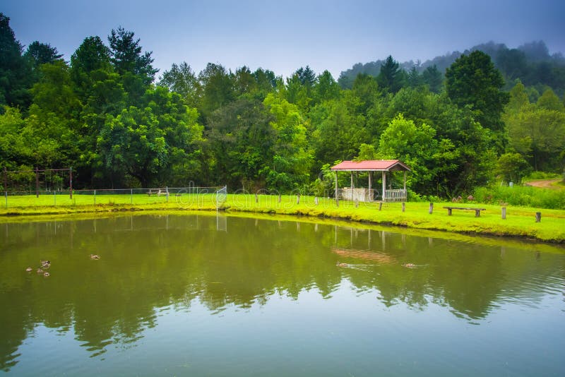 Pond in Rosman, North Carolina. Stock Image Image of clouds, pond