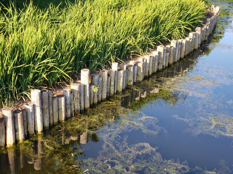Pond shore wooden edging stock image. Image of river 126569411