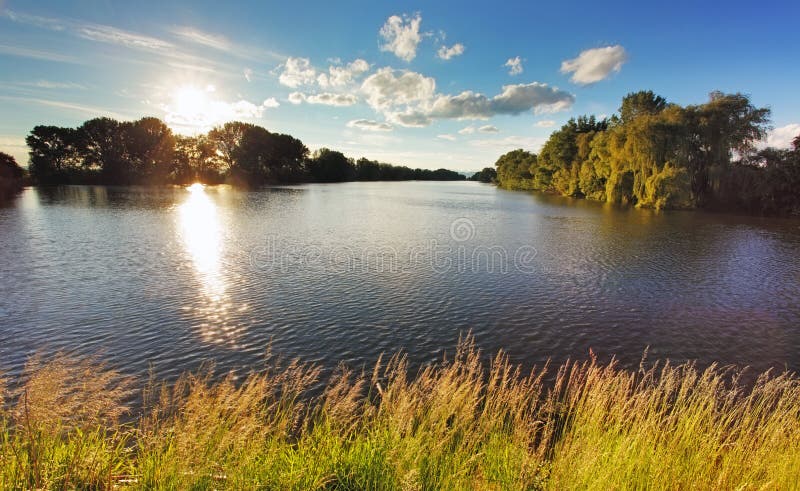 Pond with sun and forest