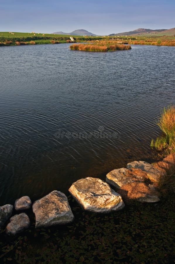 Pond in Wales