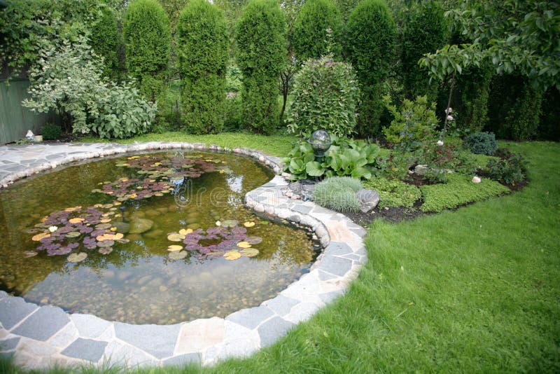 Stagno con acqua lilys - bello elemento del paesaggio