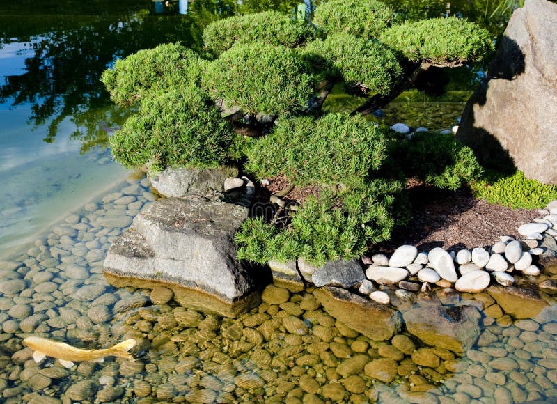 Pond in the zen garden stock photo. Image of buddhism 29402056