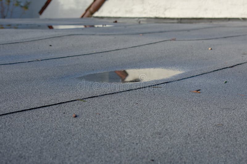 Pondo água da chuva no telhado plano após a chuva