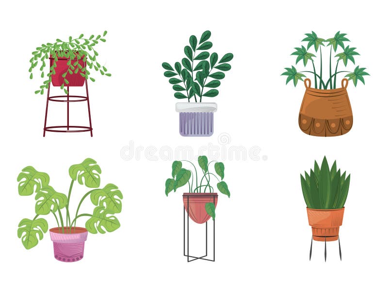 Plantas Ornamentales Ilustraciones Stock, Vectores, Y Clipart – (1,104  Ilustraciones Stock)