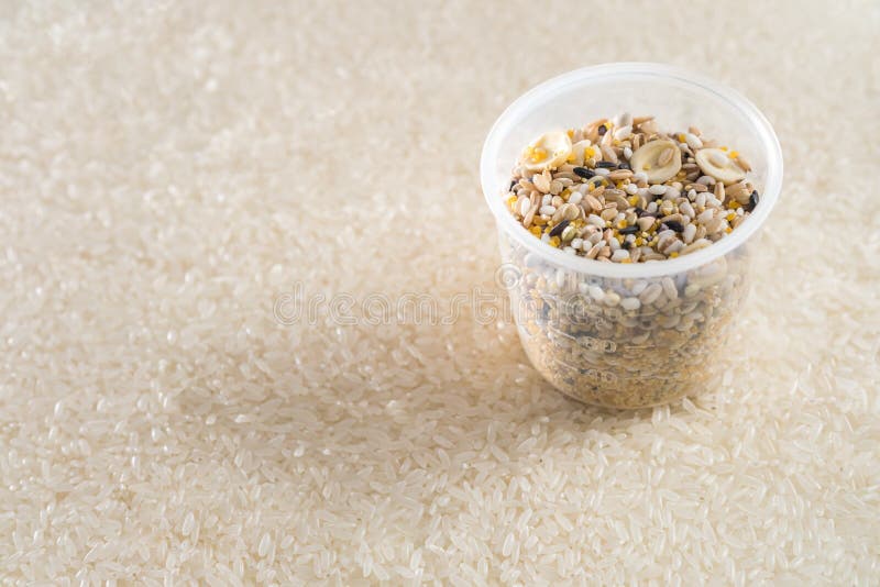 Ponga una taza de cereales en el fondo del arroz foto de archivo libre de regalías Ponga una taza de cereales en el fondo del arroz foto de archivo libre de regalías