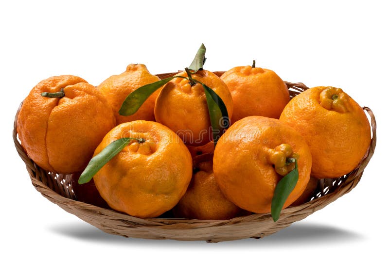 Ponkas tangerines in basket isolated on white background