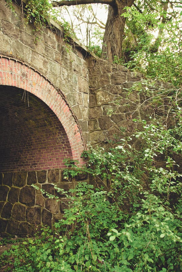 Pont délabré dans la région sauvage verte images libres de droits Pont délabré dans la région sauvage verte images libres de droits