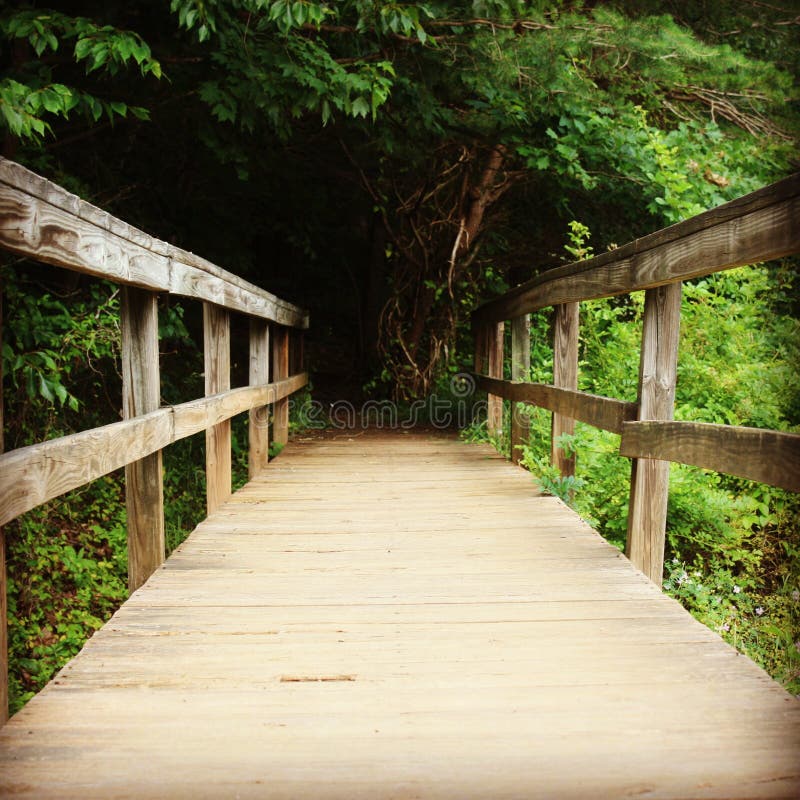 Pont en bois menant dans la forêt image libre de droits Pont en bois menant dans la forêt image libre de droits