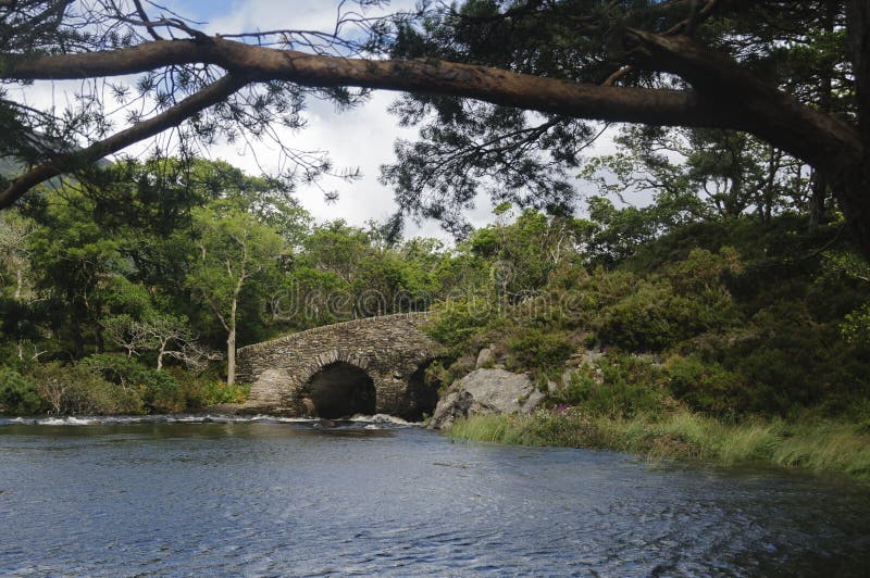 Pont en parc national de Killarney, comté Kerry, Irlande, l'Europe photos stock Pont en parc national de Killarney, comté Kerry, Irlande, l'Europe photos stock
