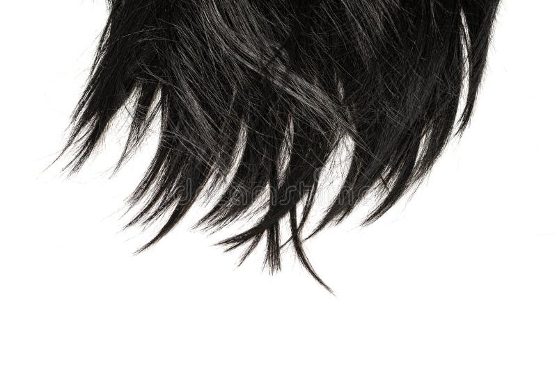 Pontas do cabelo preto isoladas no branco.