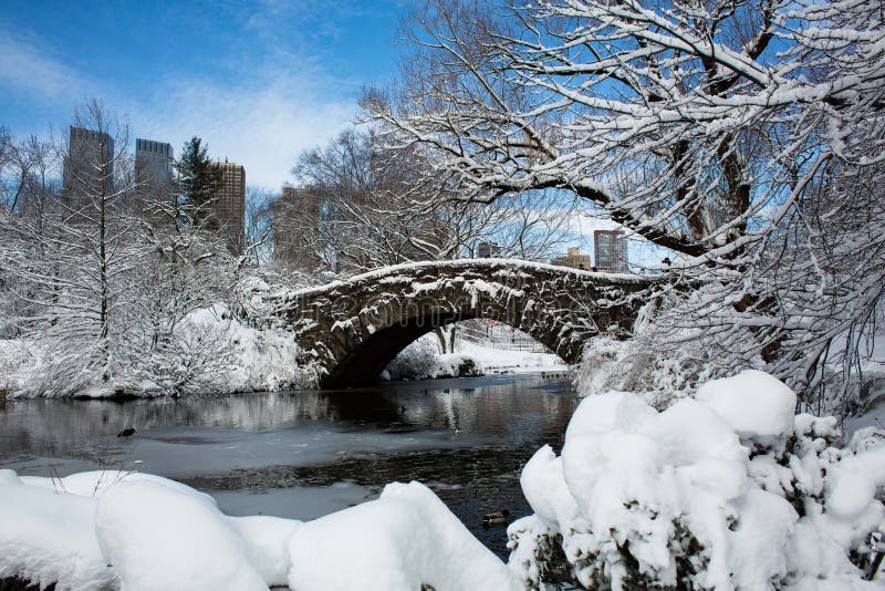 Ponte coberto de neve no Central Park em New York fotografia de stock royalty free Ponte coberto de neve no Central Park em New York fotografia de stock royalty free