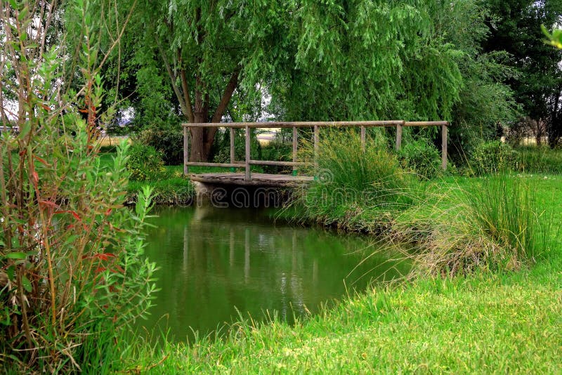 The wooden bridge in the forest with front grass. The wooden bridge in the forest with front grass