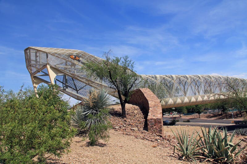 Ponte del crotalo in Tucson Arizona immagine stock Ponte del crotalo in Tucson Arizona immagine stock