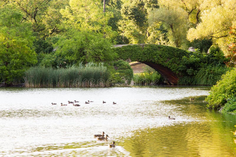 Ponte di Gapstow, Central Park, New York immagini stock libere da diritti Ponte di Gapstow, Central Park, New York immagini stock libere da diritti