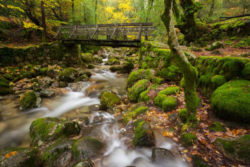 Ponte di legno nel parco nazionale di Geres fotografia stock libera da diritti Ponte di legno nel parco nazionale di Geres fotografia stock libera da diritti