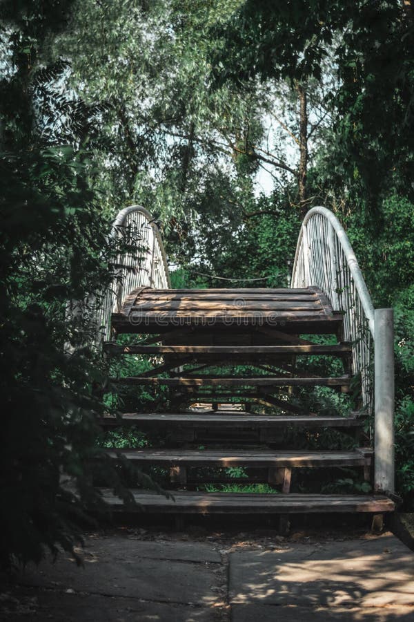 Ponte di legno nella foresta fotografia stock libera da diritti Ponte di legno nella foresta fotografia stock libera da diritti