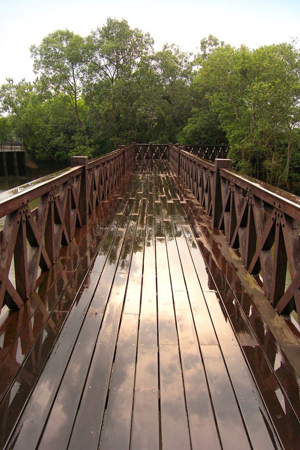 Ponte que conduz aos manguezais