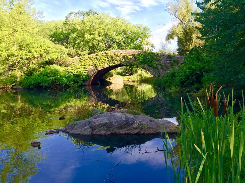 Ponticello Central Park New York City di Gapstow fotografie stock libere da diritti Ponticello Central Park New York City di Gapstow fotografie stock libere da diritti