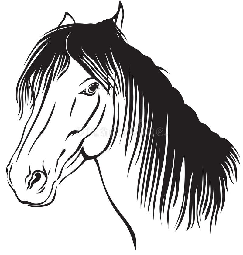 Horse muzzle profile stock vector. Illustration of arabic 49801296