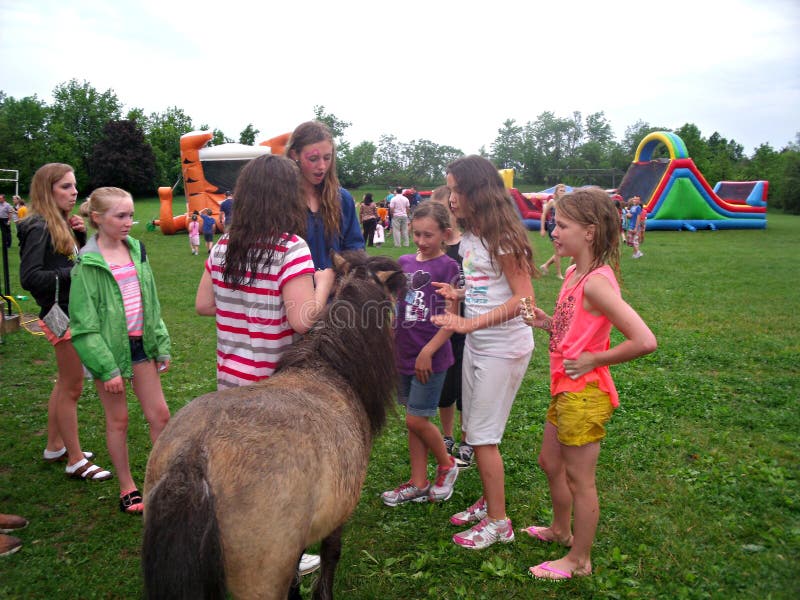 Pony at School Fair stock photo