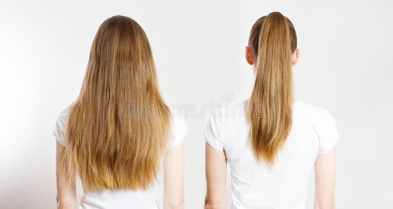 Ponyschwanz absetzen, kaukasische Haartypenansicht isoliert auf weißem Hintergrund abziehen. geruchsbraun, gesund sauber lizenzfreies stockfoto