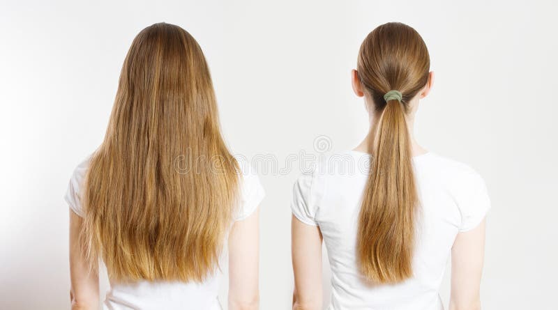 Ponyschwanz absetzen, kaukasische Haartypenansicht isoliert auf weißem Hintergrund abziehen. geruchsbraun, gesund sauber lizenzfreies stockbild