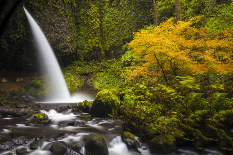Ponytail falls, autumn, Columbia Gorge, Oregon