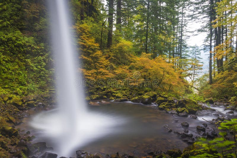 Ponytail falls, autumn, Columbia Gorge, Oregon