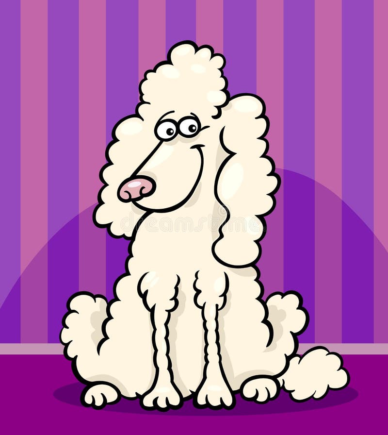 Poodle Dog Cartoon Illustration Stock Illustration - Illustration of