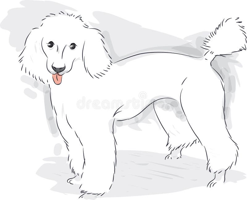 French Poodle Stock Illustrations – 3,272 French Poodle Stock  Illustrations, Vectors & Clipart - Dreamstime