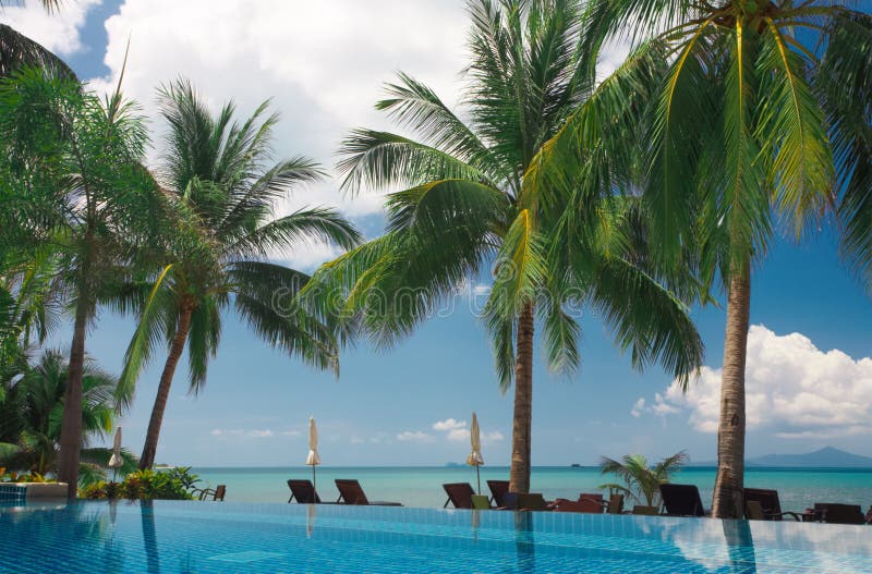 View of tropical resort swimming pool scene early in the morning