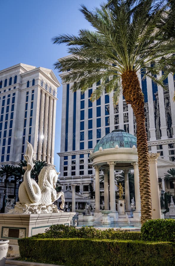 People Swimming and Relaxing at the Caesars Palace Casino Pool Editorial  Photography - Image of place, landmark: 142804137