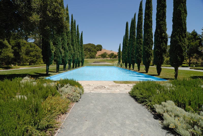 Pool en Bomen royalty-vrije stock fotografie Pool en Bomen royalty-vrije stock fotografie